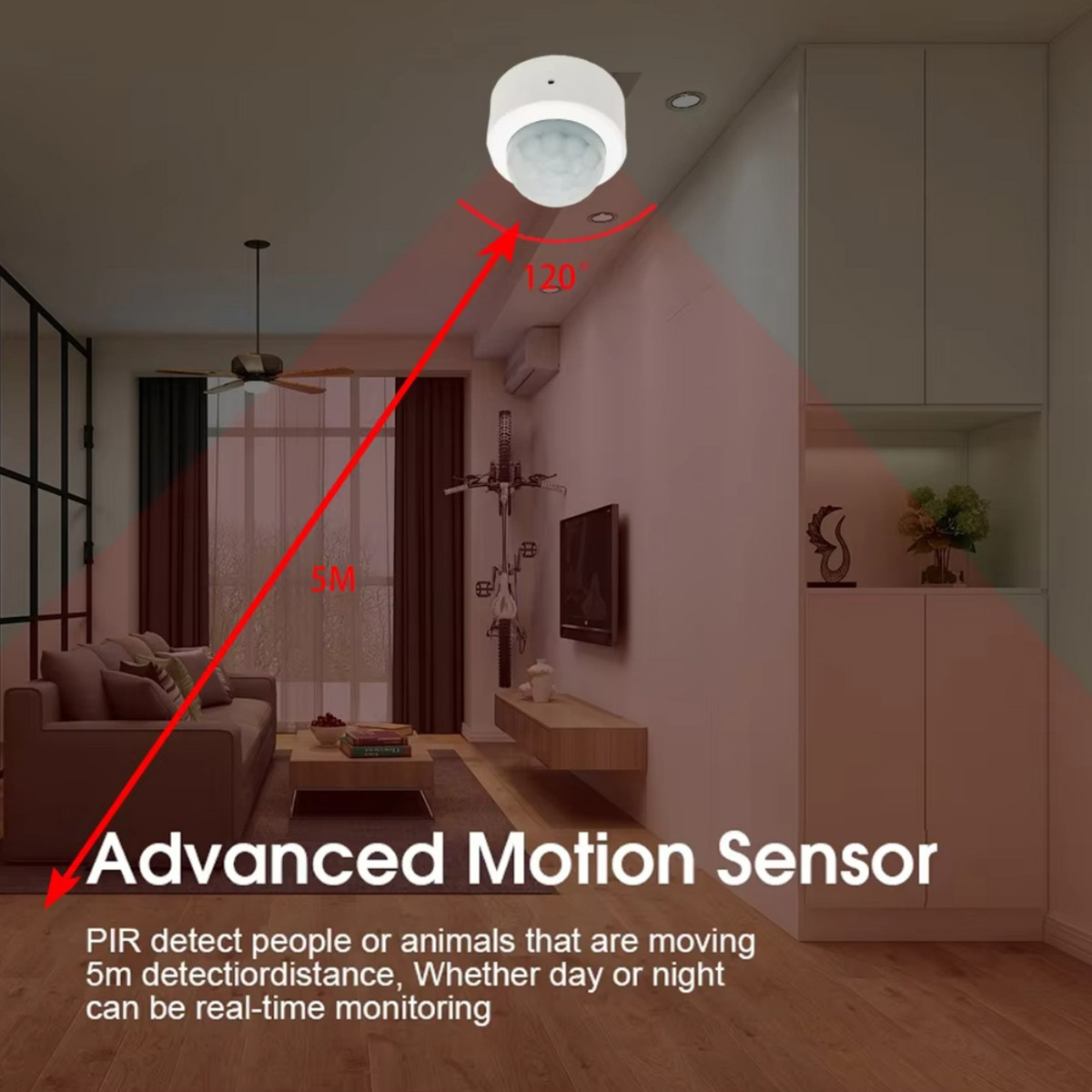 Zigbee PIR Motion Sensor Human - огляд і ціна Pir Motion Sensor